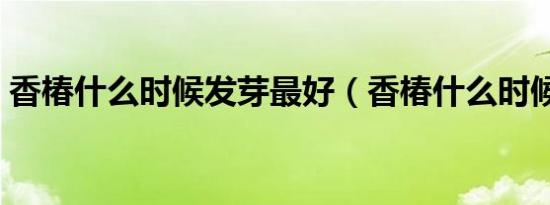 香椿什么时候发芽最好（香椿什么时候发芽）