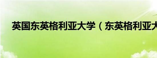 英国东英格利亚大学（东英格利亚大学）