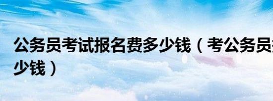 公务员考试报名费多少钱（考公务员报名费多少钱）