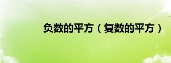 负数的平方（复数的平方）