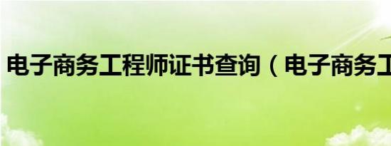 电子商务工程师证书查询（电子商务工程师）