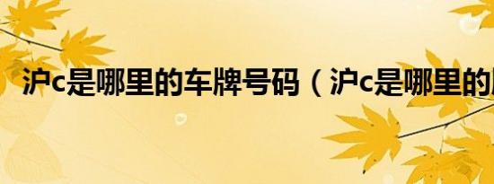 沪c是哪里的车牌号码（沪c是哪里的牌照）