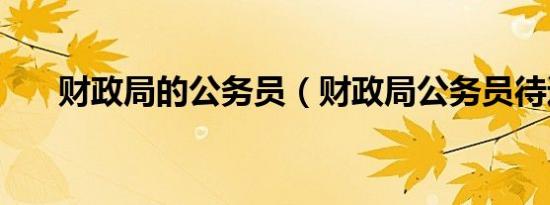 财政局的公务员（财政局公务员待遇）
