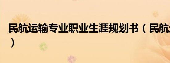 民航运输专业职业生涯规划书（民航运输专业）