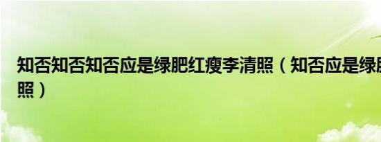 知否知否知否应是绿肥红瘦李清照（知否应是绿肥红瘦李清照）