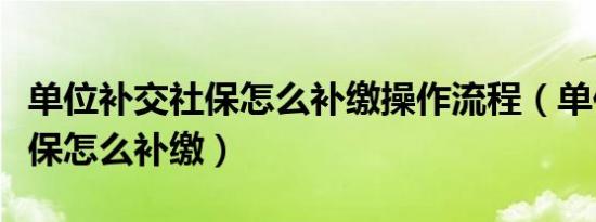 单位补交社保怎么补缴操作流程（单位补交社保怎么补缴）