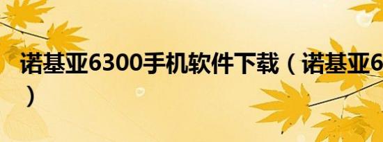 诺基亚6300手机软件下载（诺基亚6300软件）