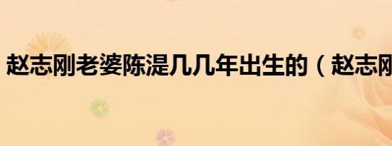 赵志刚老婆陈湜几几年出生的（赵志刚老婆）