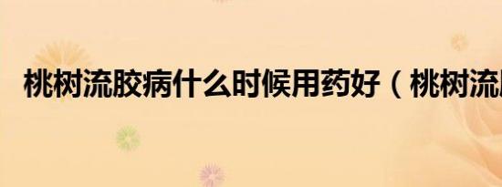 桃树流胶病什么时候用药好（桃树流胶病）