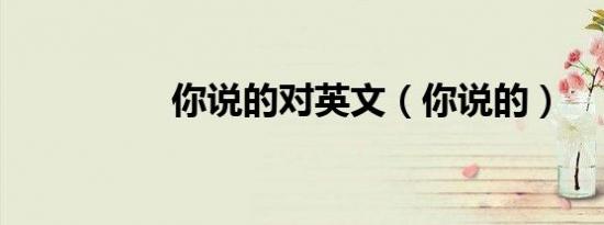 你说的对英文（你说的）