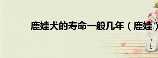鹿娃犬的寿命一般几年（鹿娃）