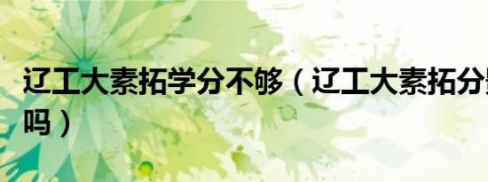辽工大素拓学分不够（辽工大素拓分影响毕业吗）