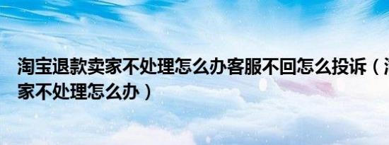 淘宝退款卖家不处理怎么办客服不回怎么投诉（淘宝退款卖家不处理怎么办）