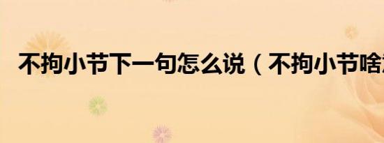 不拘小节下一句怎么说（不拘小节啥意思）