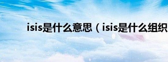 isis是什么意思（isis是什么组织）