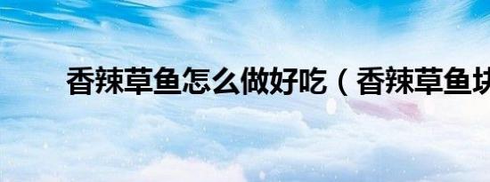 香辣草鱼怎么做好吃（香辣草鱼块）