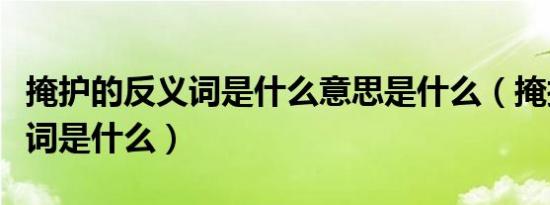 掩护的反义词是什么意思是什么（掩护的反义词是什么）