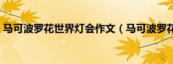 马可波罗花世界灯会作文（马可波罗花世界）