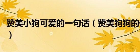 赞美小狗可爱的一句话（赞美狗狗的优美句子）