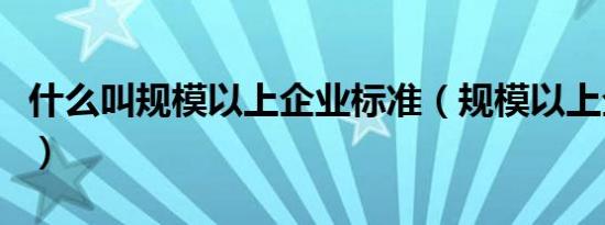 什么叫规模以上企业标准（规模以上企业标准）