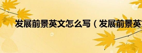发展前景英文怎么写（发展前景英文）