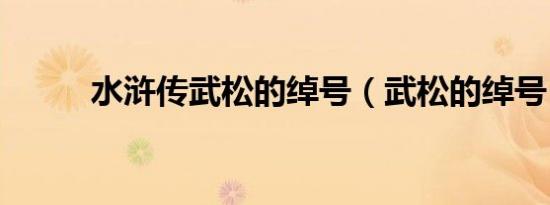 水浒传武松的绰号（武松的绰号）