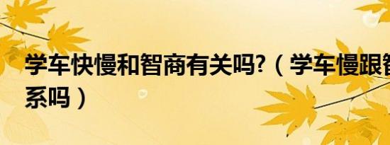 学车快慢和智商有关吗?（学车慢跟智力有关系吗）