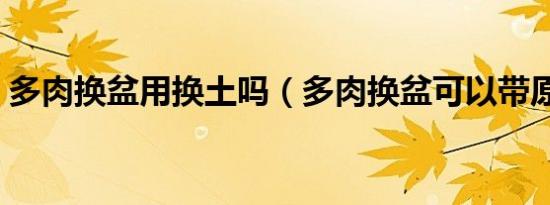 多肉换盆用换土吗（多肉换盆可以带原土吗）