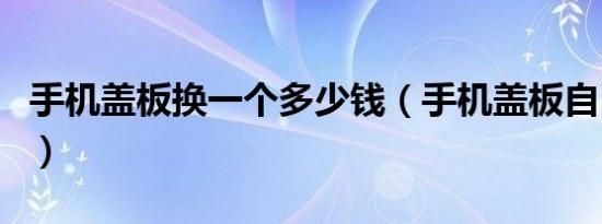手机盖板换一个多少钱（手机盖板自己能换吗）