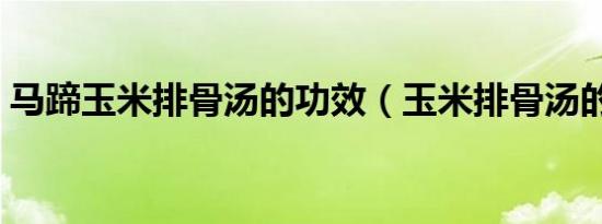 马蹄玉米排骨汤的功效（玉米排骨汤的功效）