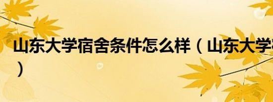 山东大学宿舍条件怎么样（山东大学宿舍条件）