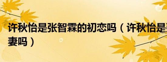 许秋怡是张智霖的初恋吗（许秋怡是张智霖前妻吗）