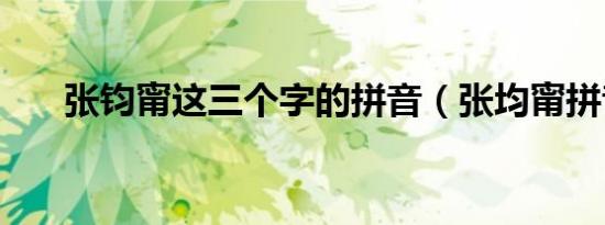 张钧甯这三个字的拼音（张均甯拼音）