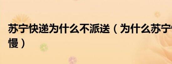 苏宁快递为什么不派送（为什么苏宁快递这么慢）