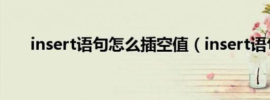 insert语句怎么插空值（insert语句）