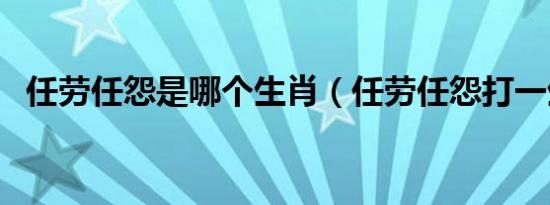 任劳任怨是哪个生肖（任劳任怨打一生肖）