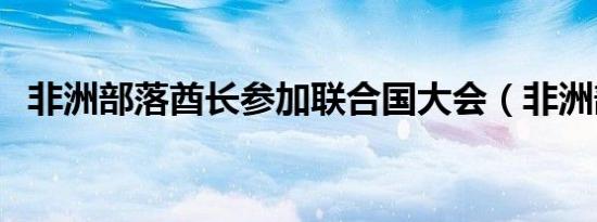 非洲部落酋长参加联合国大会（非洲部落）