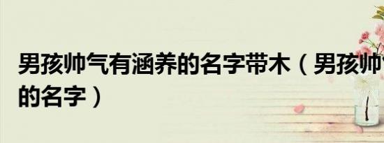 男孩帅气有涵养的名字带木（男孩帅气有涵养的名字）