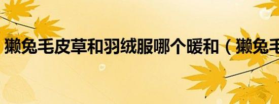 獭兔毛皮草和羽绒服哪个暖和（獭兔毛皮草）