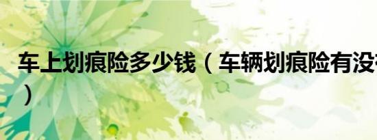车上划痕险多少钱（车辆划痕险有没有必要买）