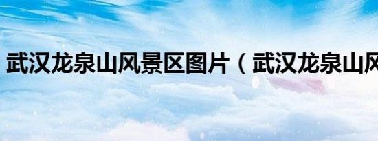 武汉龙泉山风景区图片（武汉龙泉山风景区）