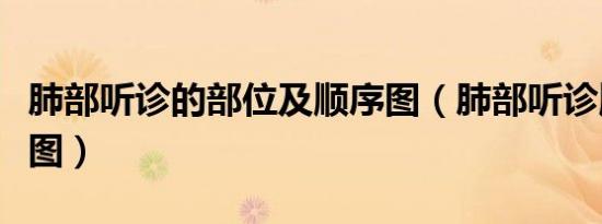 肺部听诊的部位及顺序图（肺部听诊顺序示意图）