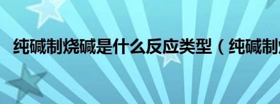 纯碱制烧碱是什么反应类型（纯碱制烧碱）