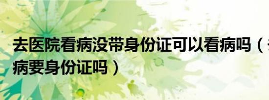 去医院看病没带身份证可以看病吗（去医院看病要身份证吗）