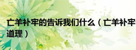 亡羊补牢的告诉我们什么（亡羊补牢告诉我们道理）