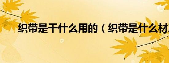 织带是干什么用的（织带是什么材质）