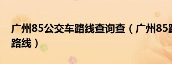 广州85公交车路线查询查（广州85路公交车路线）
