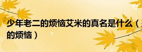 少年老二的烦恼艾米的真名是什么（少年老二的烦恼）