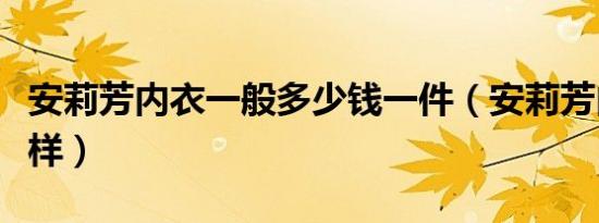 安莉芳内衣一般多少钱一件（安莉芳内衣怎么样）
