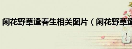 闲花野草逢春生相关图片（闲花野草逢春生）
